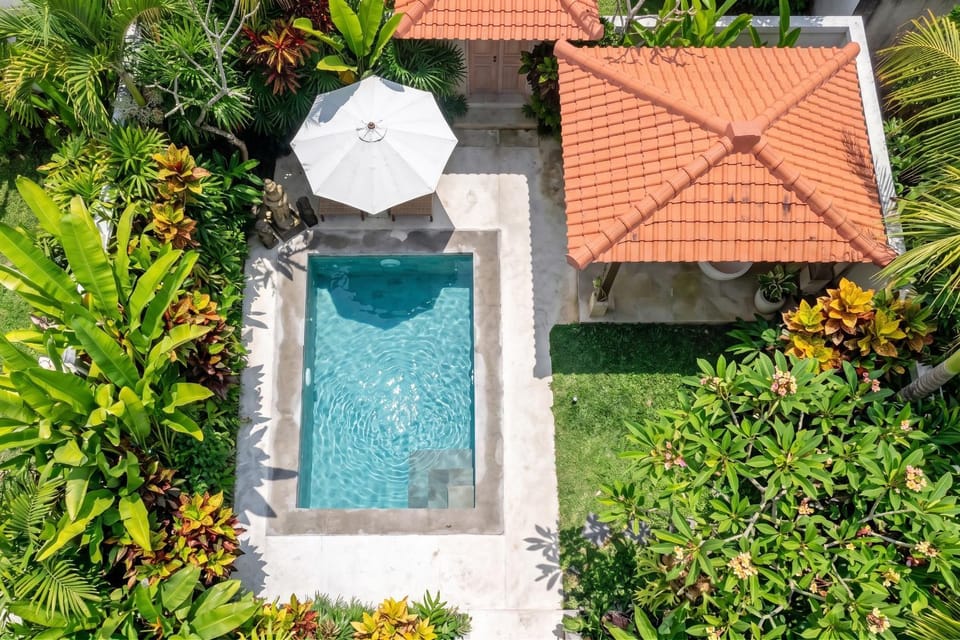 Garden, Swimming pool, Swimming pool