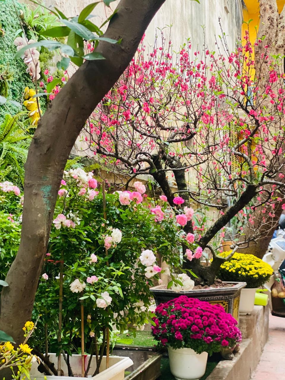 Carol Hanoi Oldquarter Hoan Kiem Bed and Breakfast in Hanoi