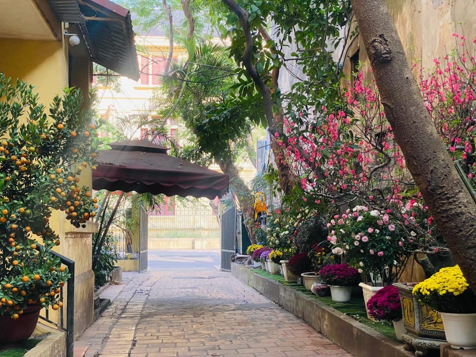 Carol Hanoi Oldquarter Hoan Kiem Bed and Breakfast in Hanoi