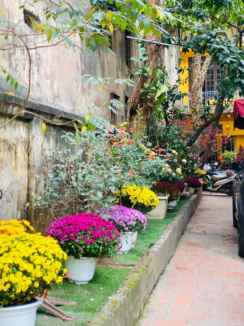 Carol Hanoi Oldquarter Hoan Kiem Bed and Breakfast in Hanoi