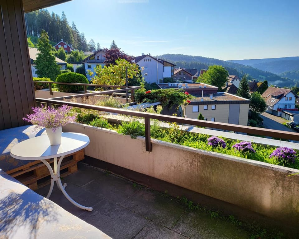 Birds eye mountain view at balcony, parking free, new kitchen, renovated bathroom Apartment in Baden-Württemberg