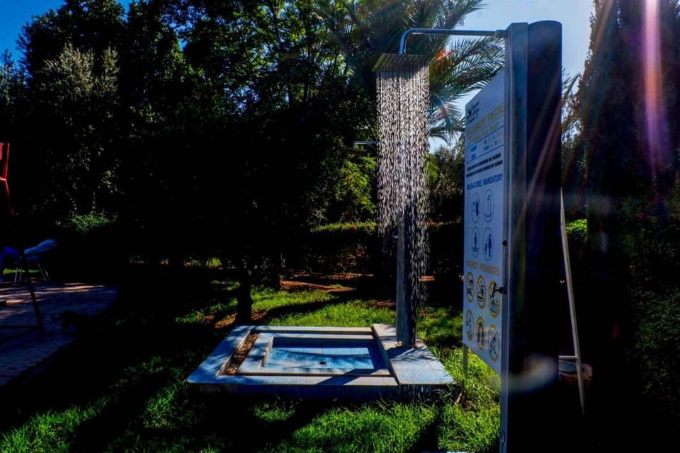 Garden, Garden view, Swimming pool