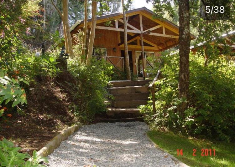 Cabañas el Bosque Patagónico Nature lodge in Los Lagos, Chile