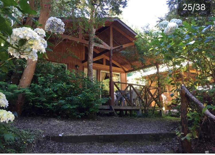 Cabañas el Bosque Patagónico Nature lodge in Los Lagos, Chile