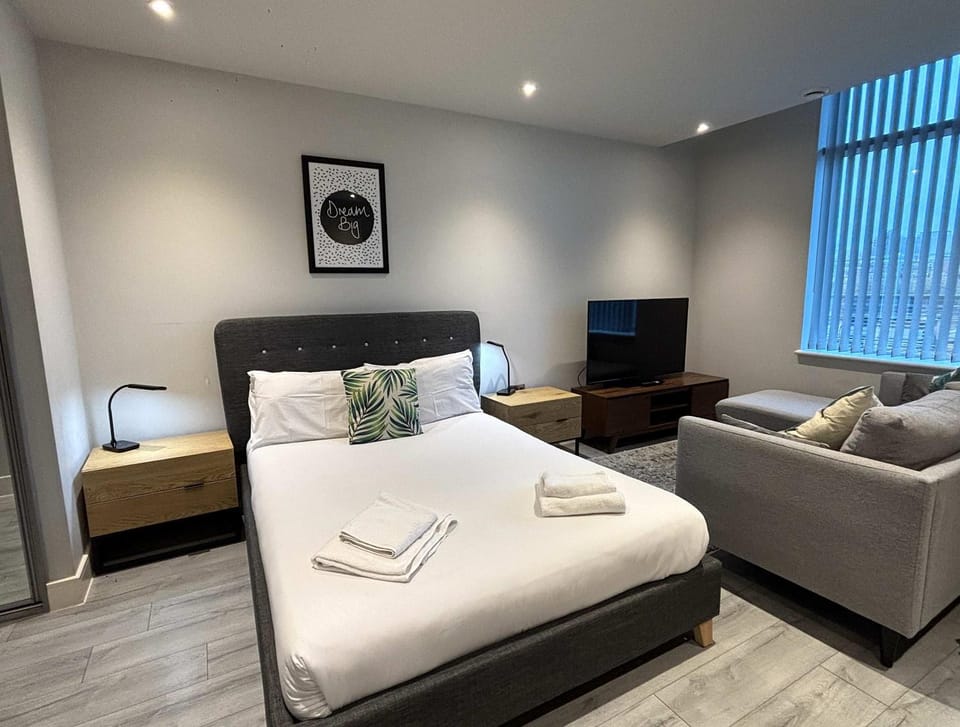 Bed, TV and multimedia, Seating area
