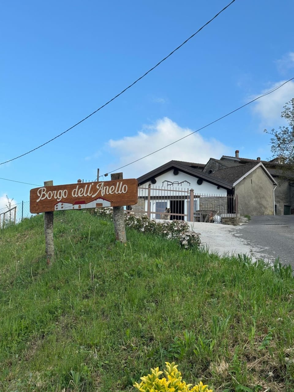 Property building, Day, Property logo or sign, Natural landscape, Street view