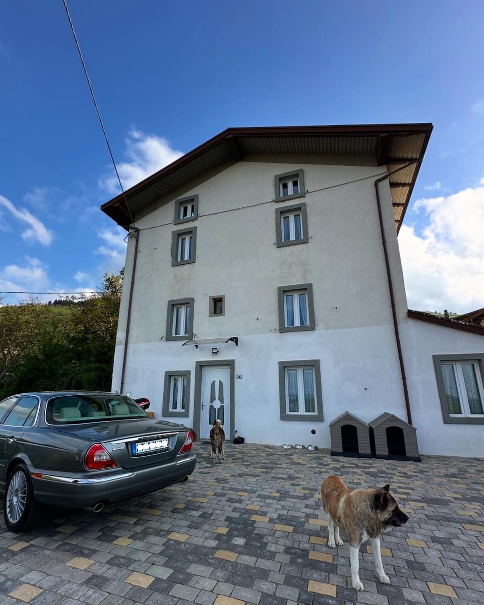 Property building, Day, Pets