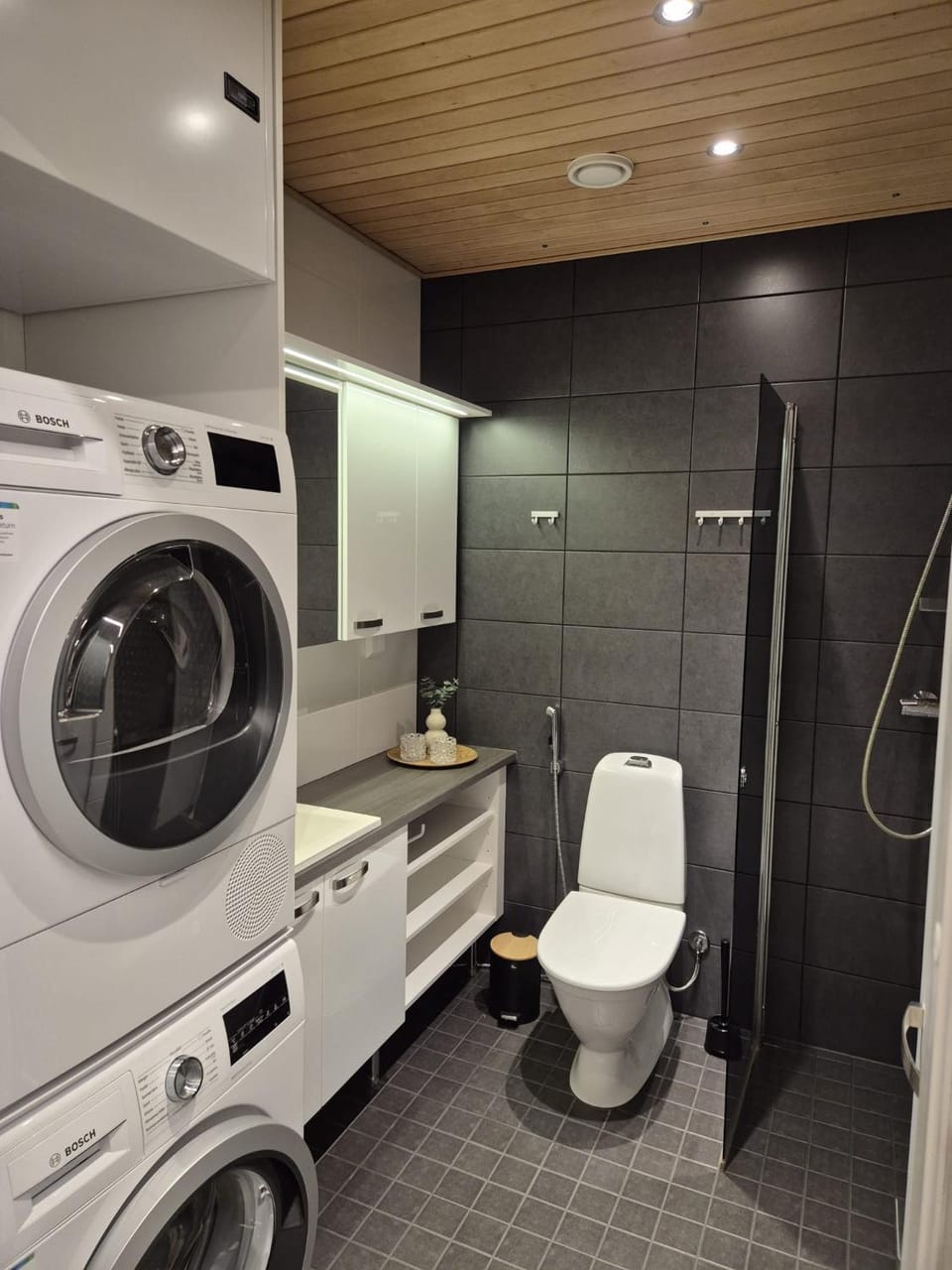 Toilet, Bathroom, washing machine, dryer