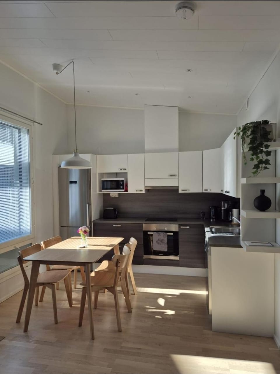 Kitchen or kitchenette, Dining area, oven, stove