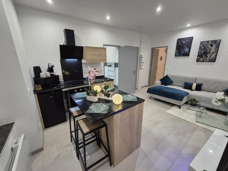 Appartement complet a 2 pas de la Gare-Centre Apartment in Limoges