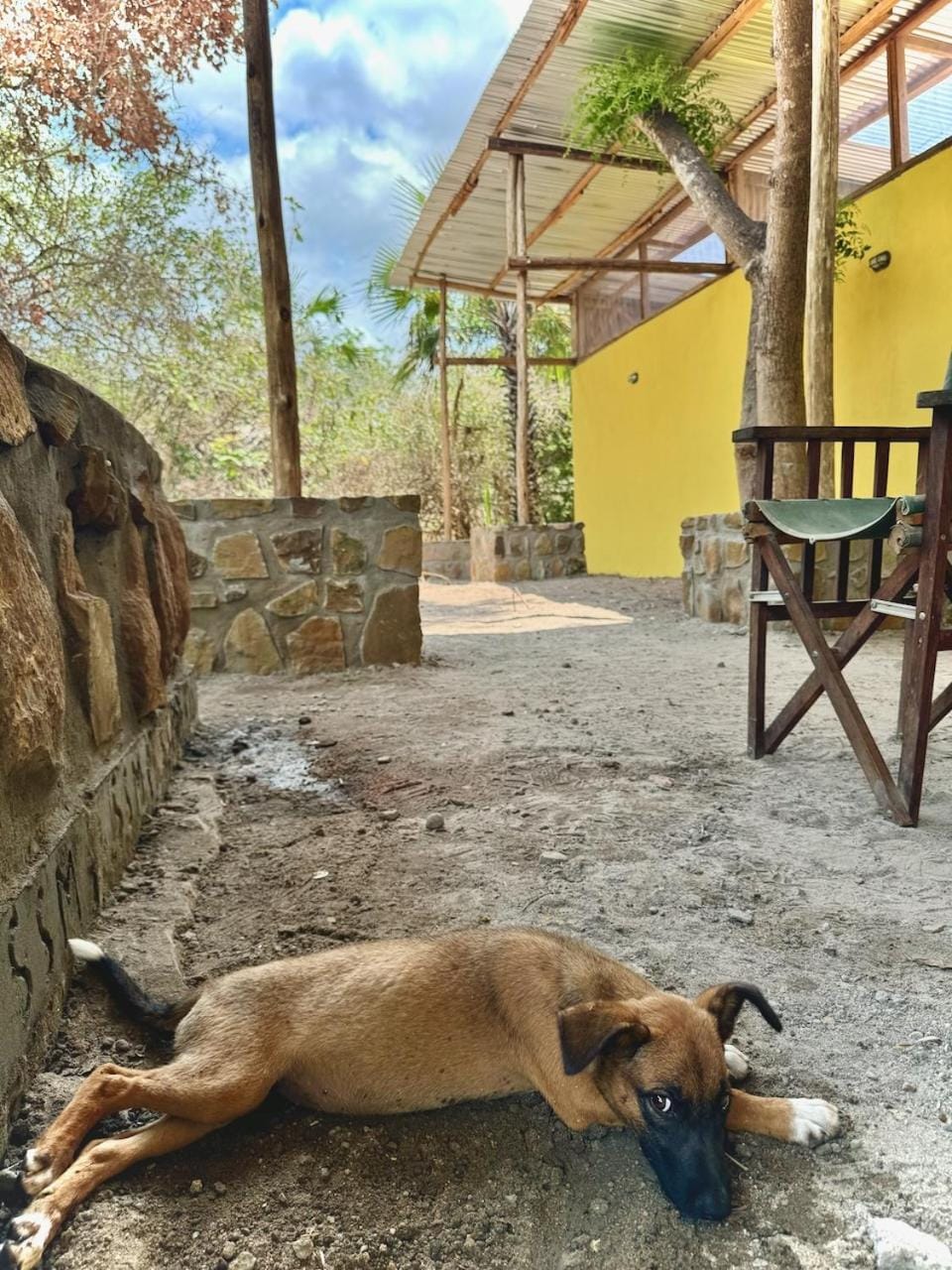 Stanley's Outpost by Baker & Sons Hostel in Tanzania