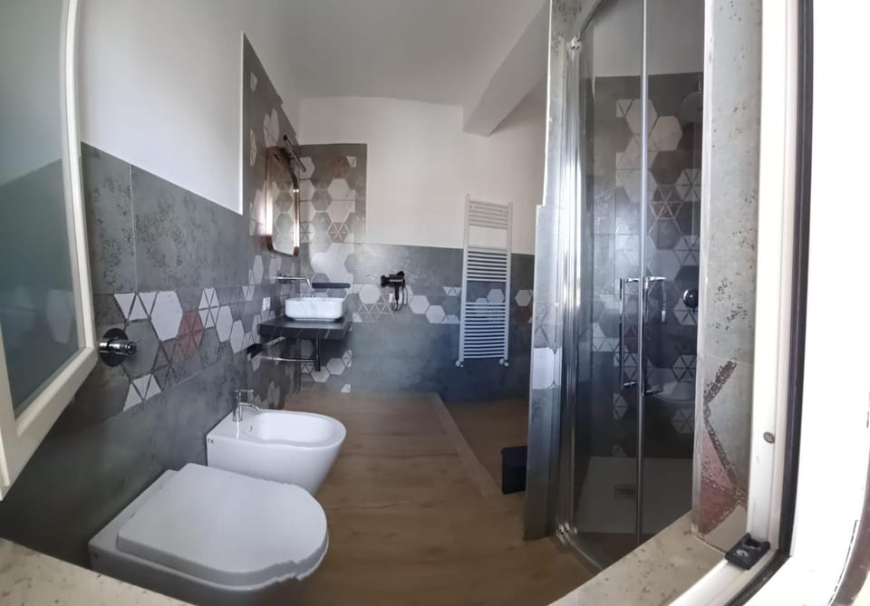 Shower, Toilet, Bathroom, bidet