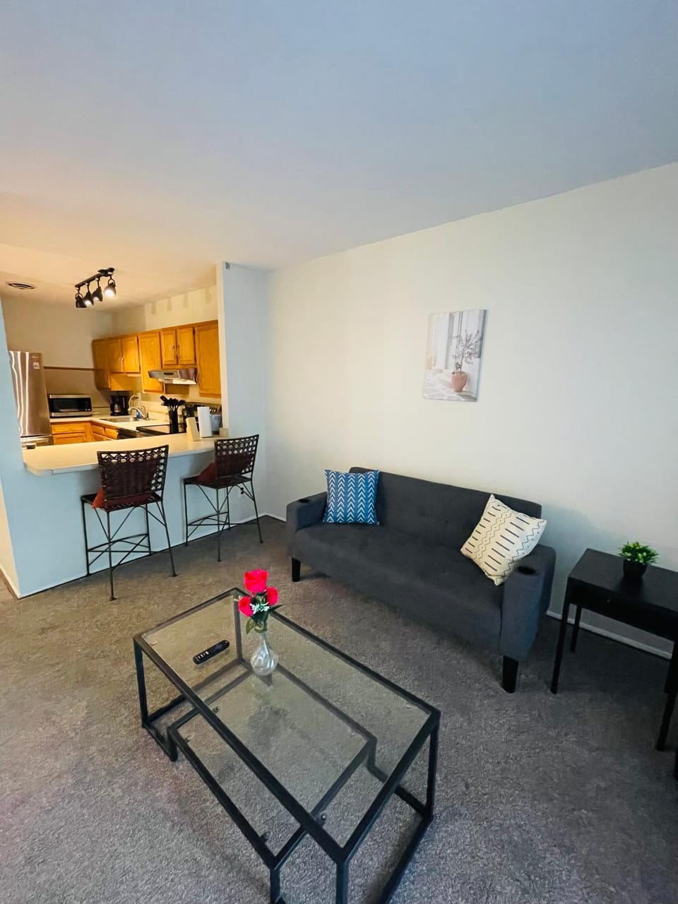 Bright 2BR Cherry Blossom View Balcony Apartment in Jenkintown