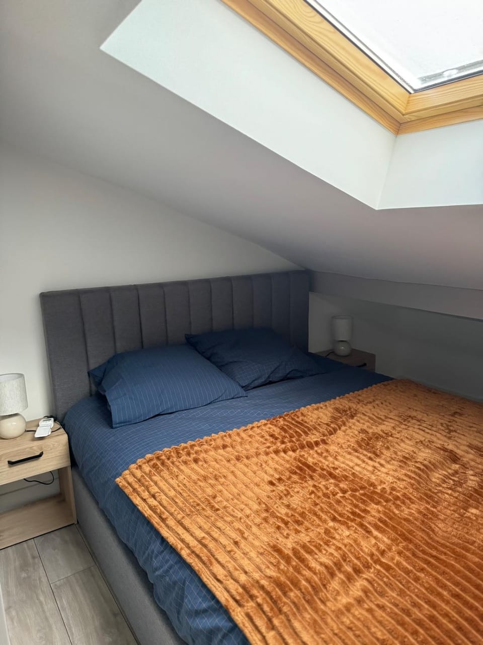 Longchamps 1 - Magnifique appartement, 1 chambre sous les toits, clim Apartment in Aix-les-Bains