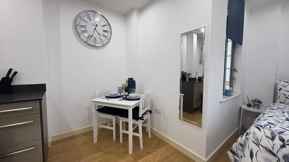 Stylish Studio Apartment Canary Wharf Limehouse DLR Apartment in London