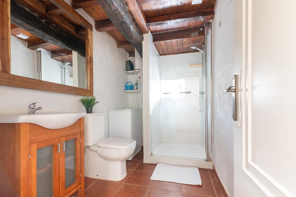 Shower, Bathroom, Animals, Pets, furniture, hair dryier, pet friendly, storage, towels, wardrobe