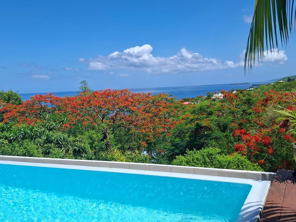 Villa Toc Toc à Bouillante, Guadeloupe Villa in Bouillante