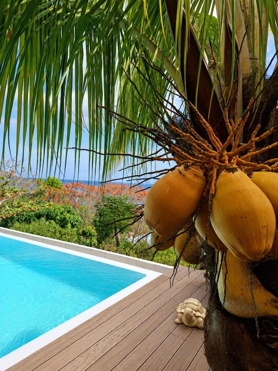 Pool view, Sea view, Swimming pool