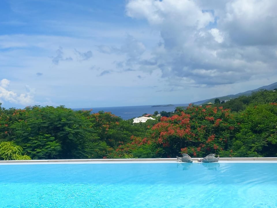 Sea view, Swimming pool