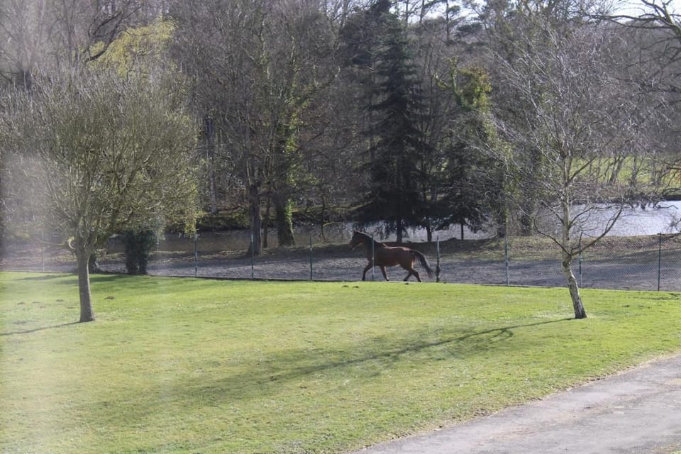 Domaine de L'étang House in Brittany