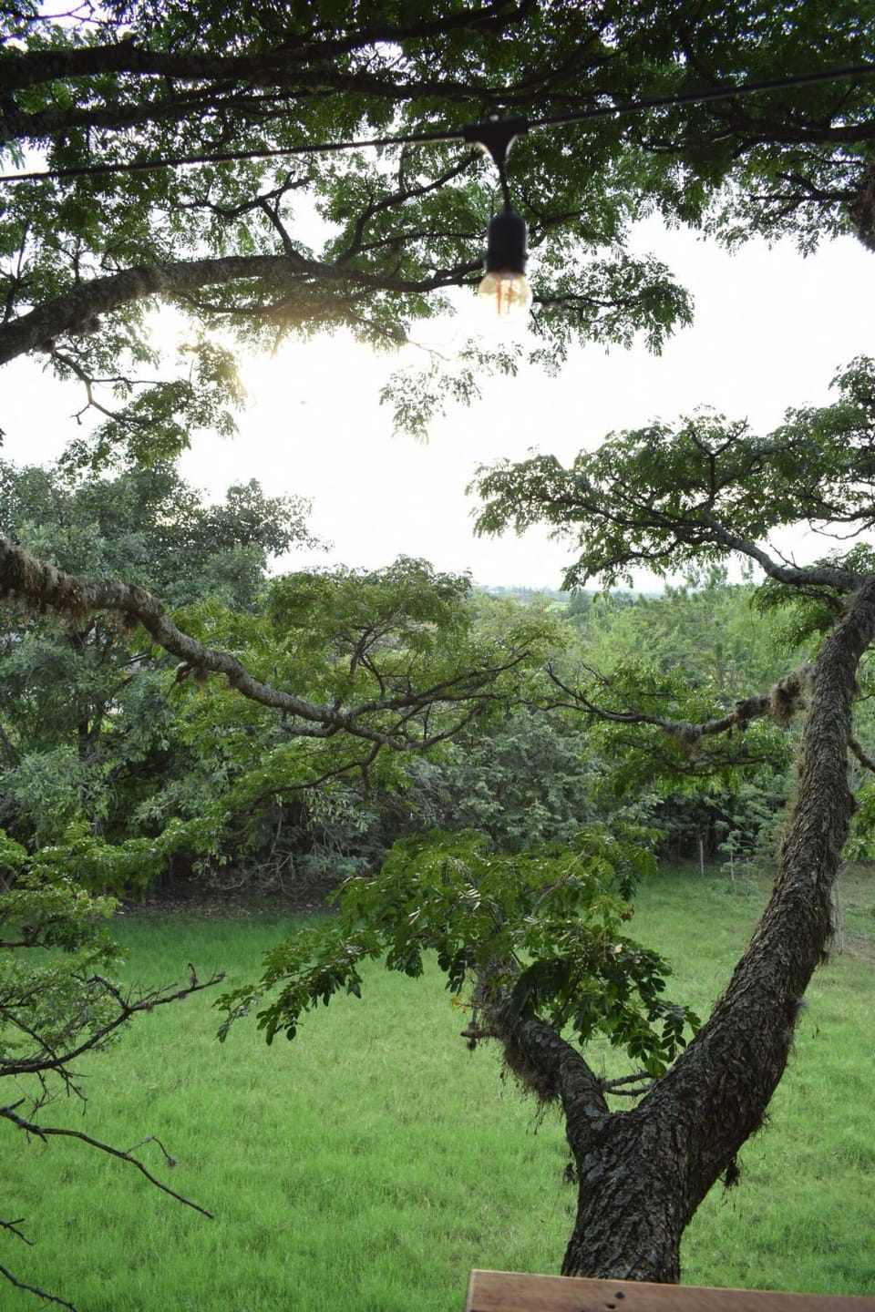 Treehouse House in Valle del Cauca