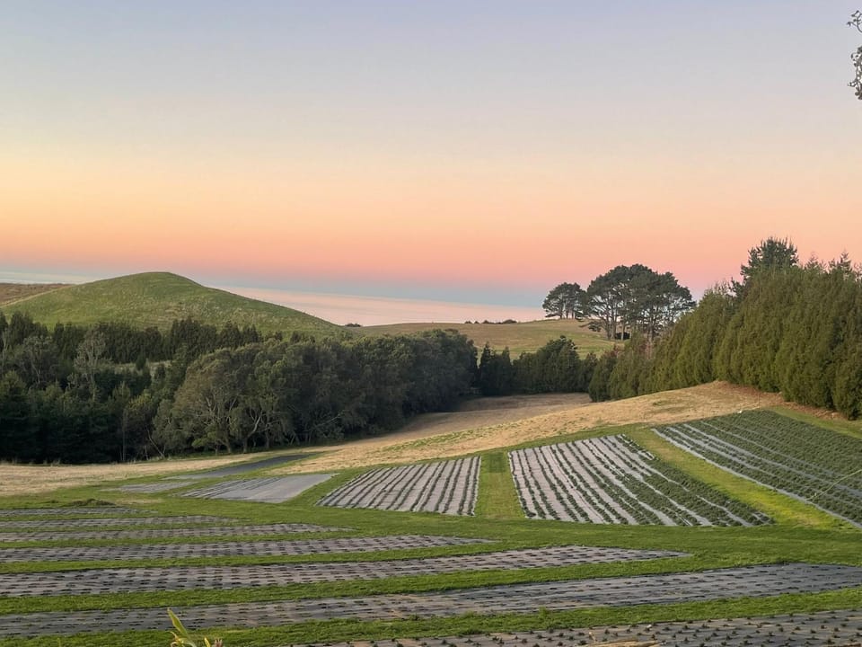 Sea & Mountain Views Retreat on Rosemary Farm House in Bay Of Plenty