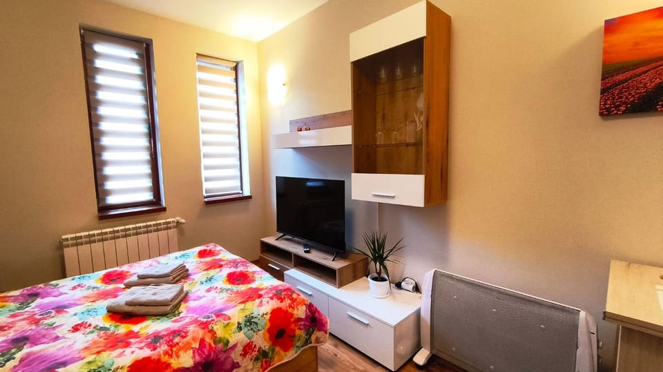 Communal lounge/ TV room, Bed, TV and multimedia, Bedroom
