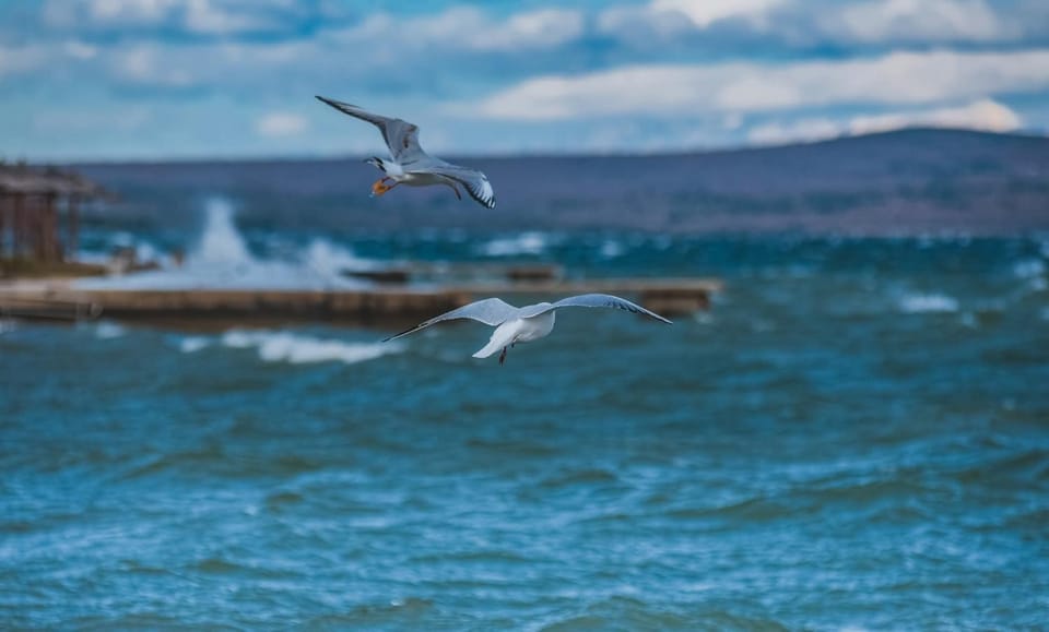 Sea view