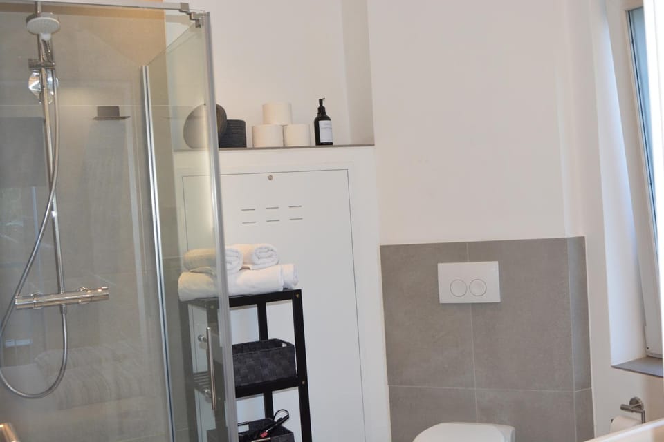 Shower, Toilet, Bathroom, towels