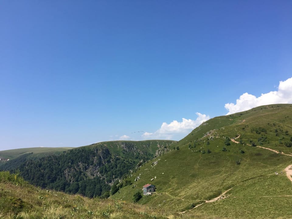 Natural landscape