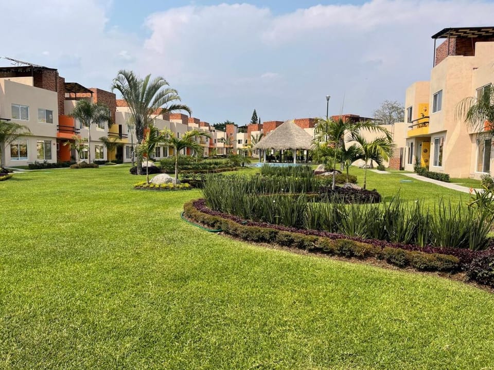 Garden view