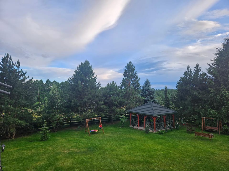 Natural landscape, Garden, Garden view