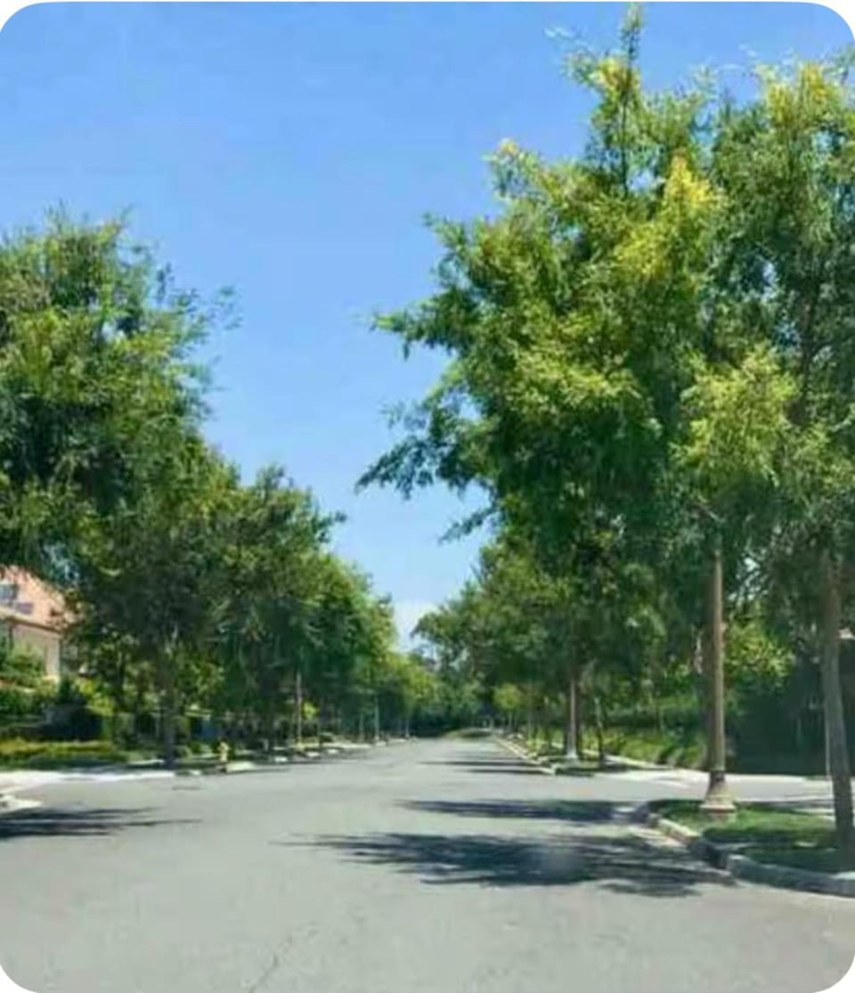 Neighbourhood, Street view