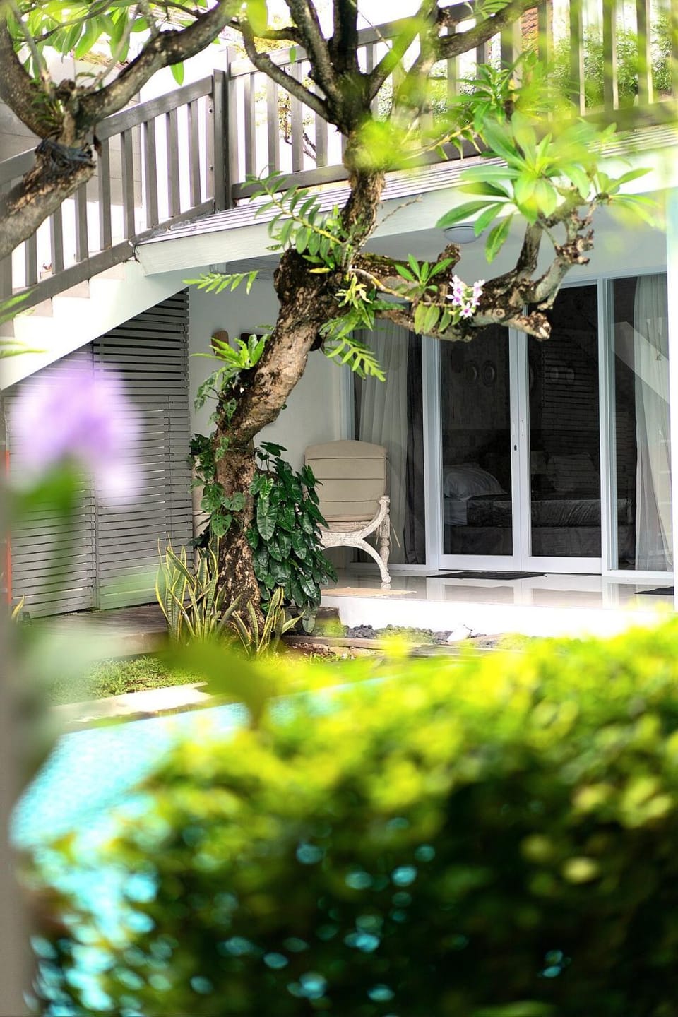 Garden view