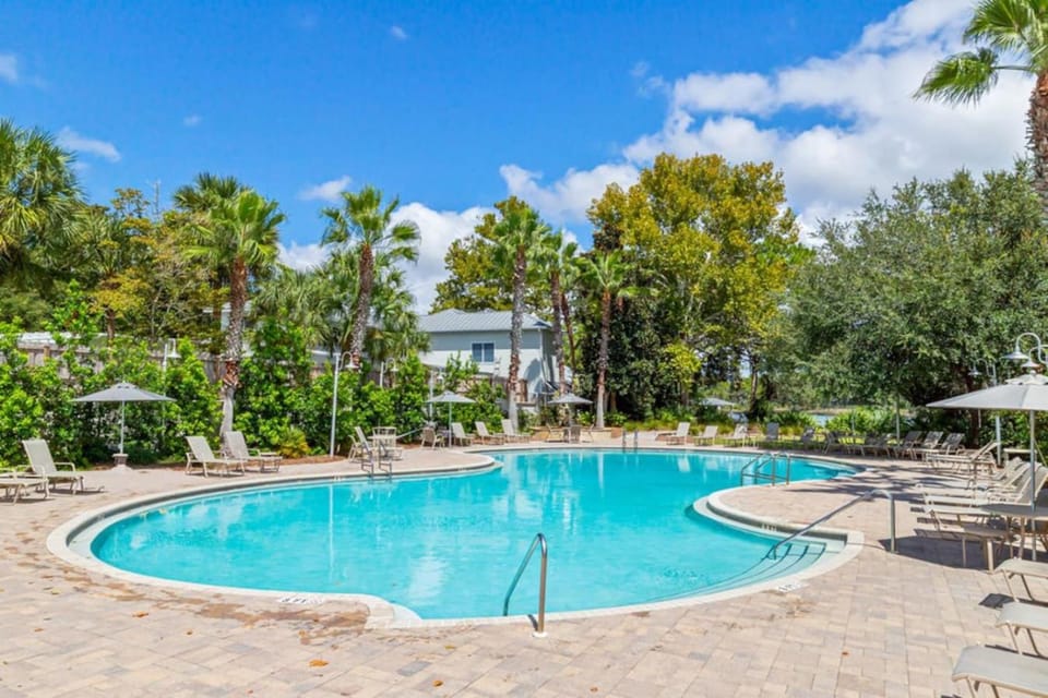 Pool view, Swimming pool, sunbed