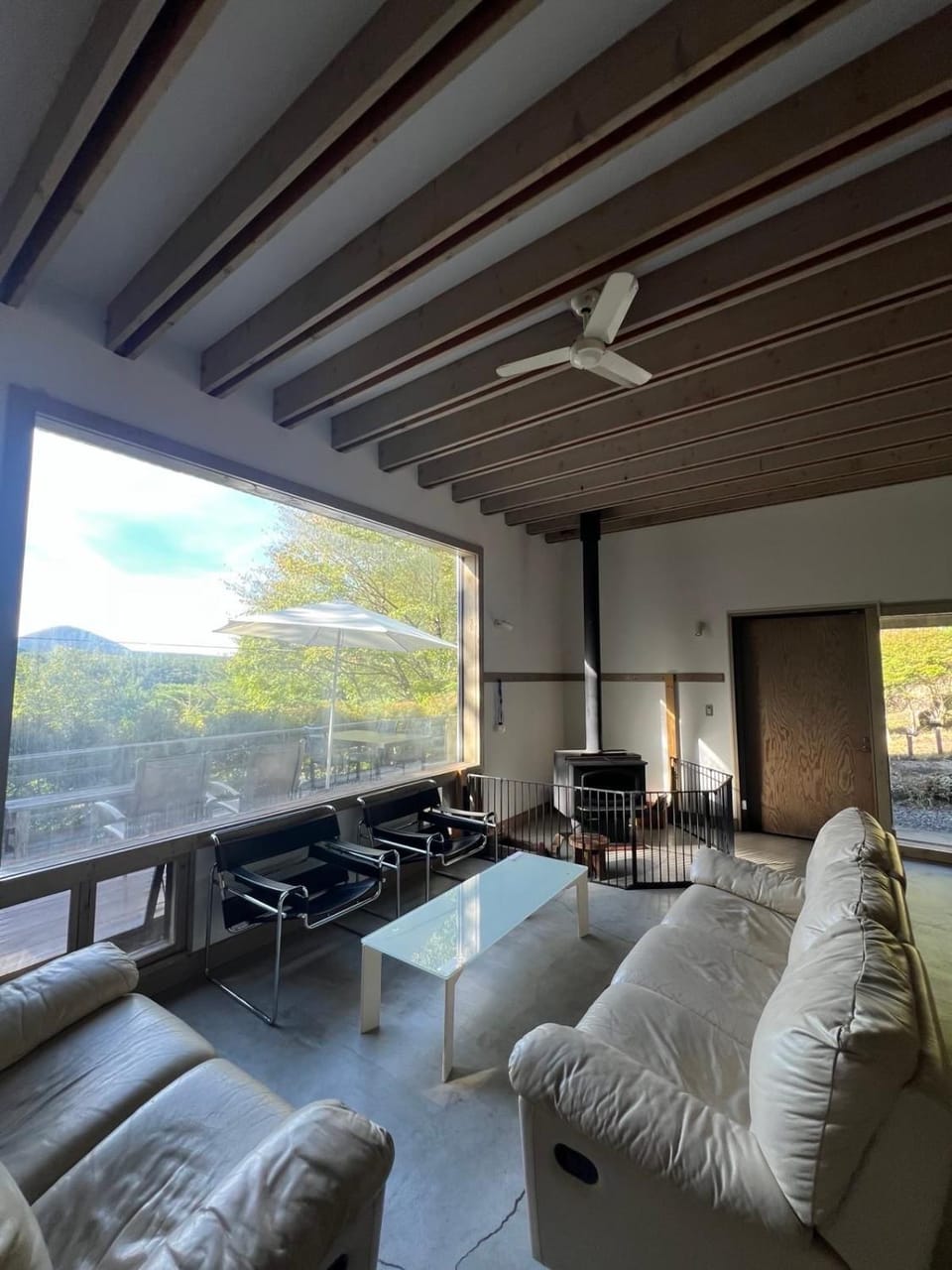 Living room, Mountain view, fireplace