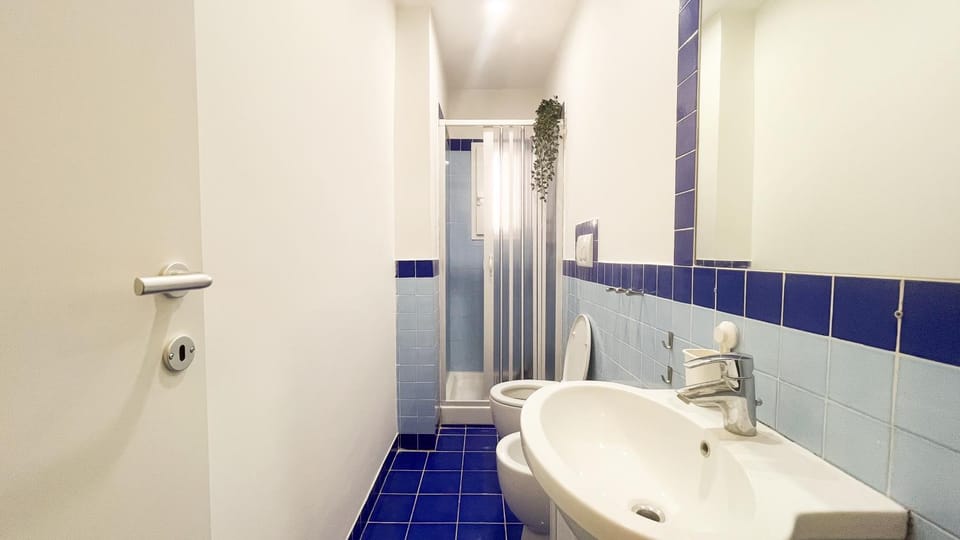 Shower, Toilet, Bathroom, bidet
