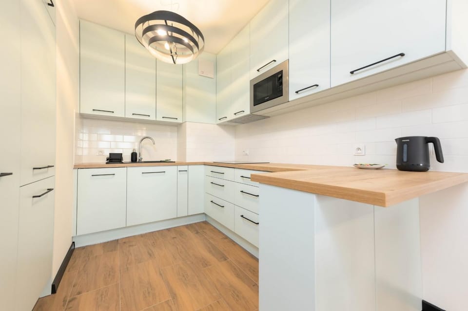 Kitchen or kitchenette, dishwasher, stove