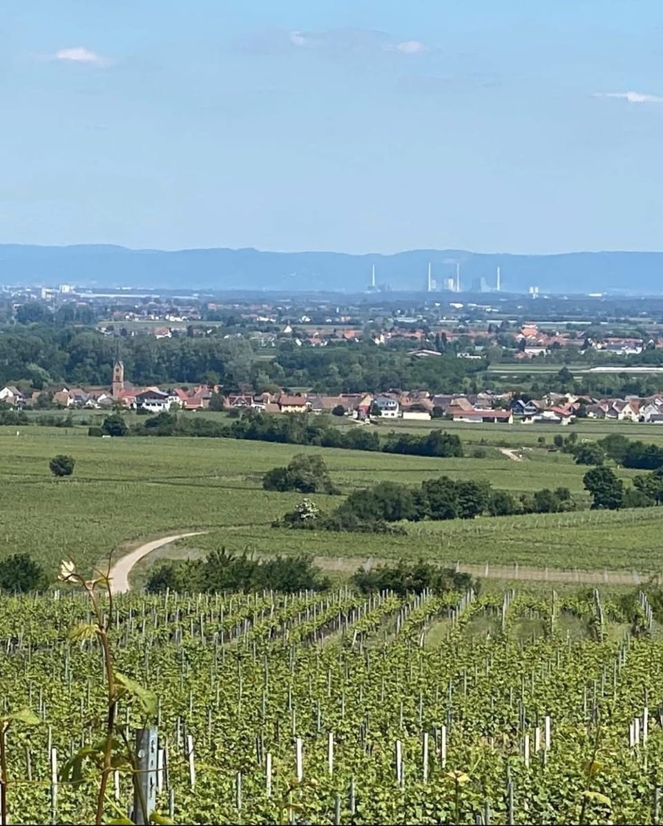 Pfalzzimmer Apartment in Rhineland-Palatinate