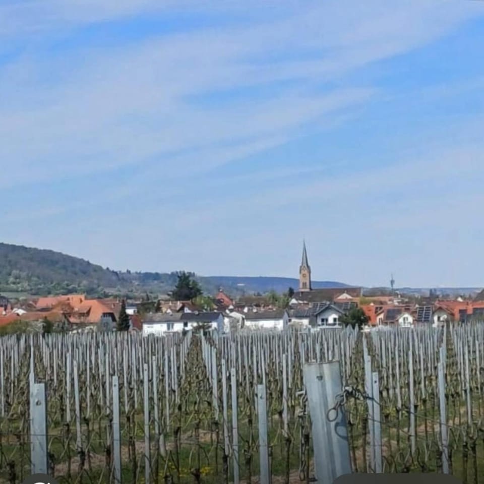 Pfalzzimmer Apartment in Rhineland-Palatinate