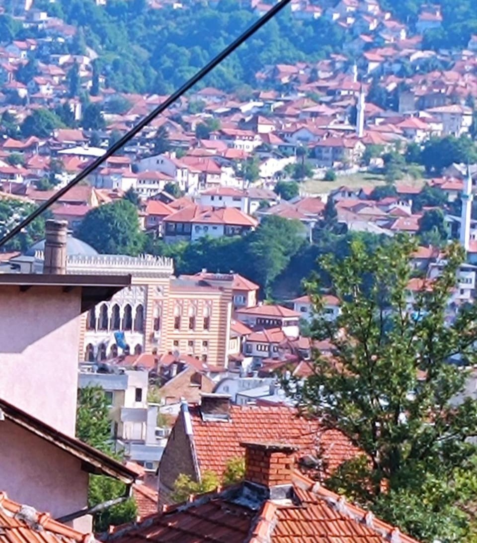 City view