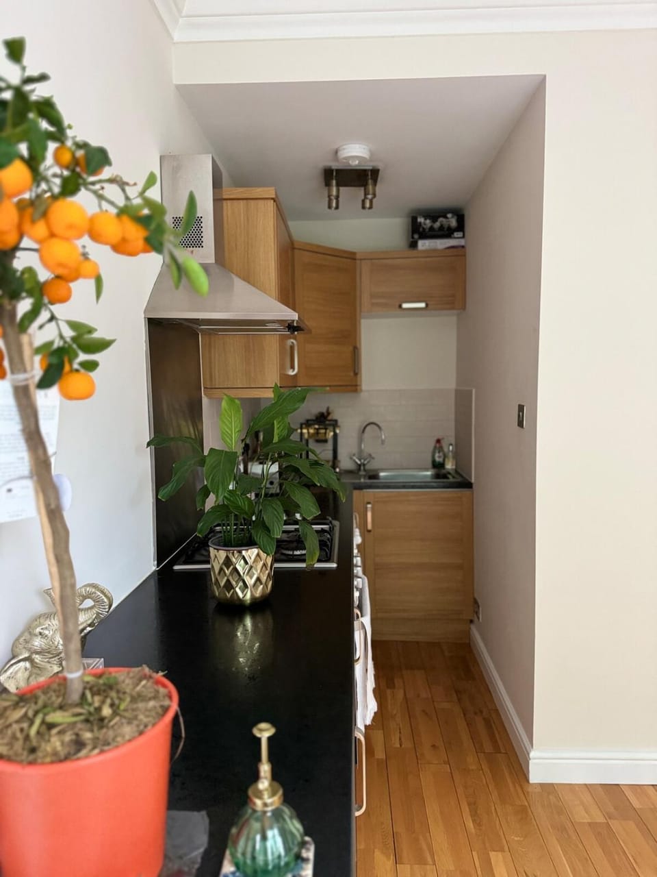 Elegant Period Apartment in London Apartment in City of Westminster