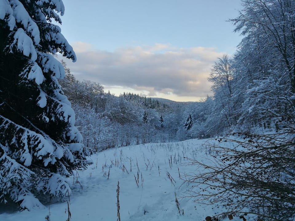 Property building, Natural landscape