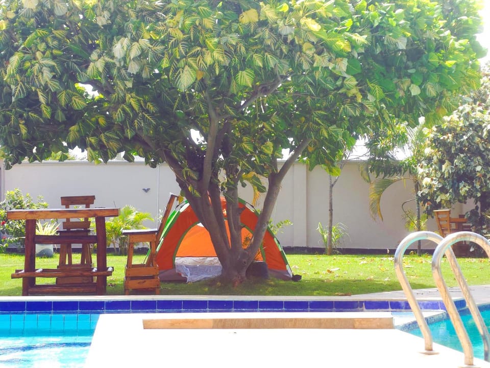 Patio, Day, Garden, Evening entertainment, Garden view, Pool view, Swimming pool, Entertainment, sunbed