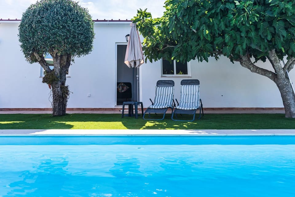 Patio, Garden, Garden view, Pool view, Swimming pool, sunbed