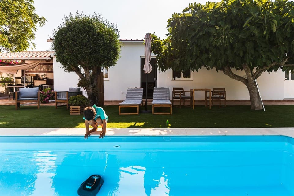 Garden, Garden view, Pool view, Swimming pool, sunbed