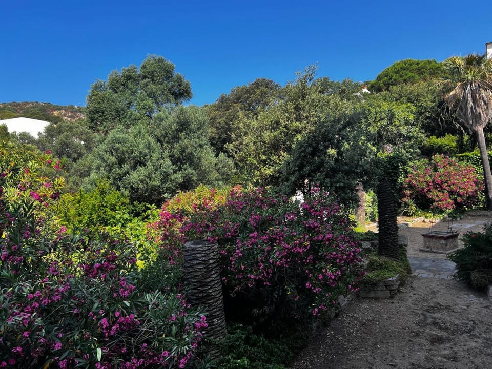 Day, Garden, Garden view