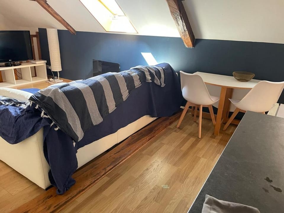 Grand appartement Fay centre Apartment in Centre-Val de Loire