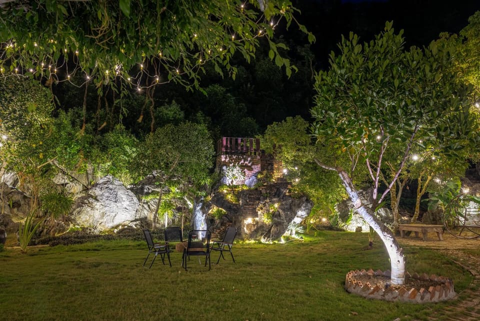Natural landscape, Garden, Decorative detail