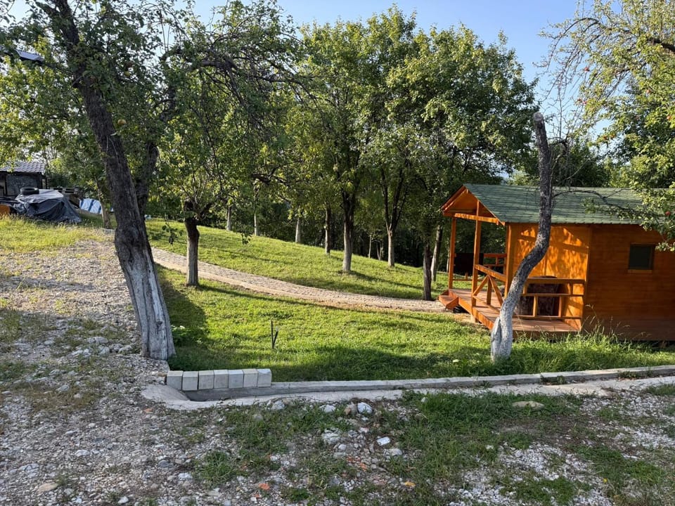 White River Campground/ 
RV Resort in Romania
